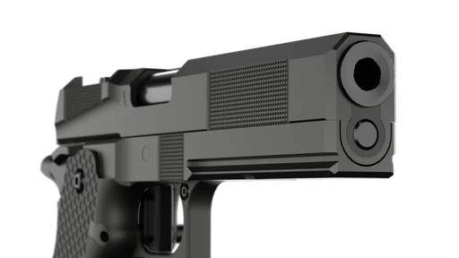 Muzzle