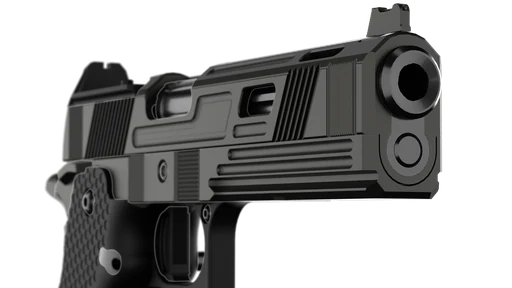 Muzzle