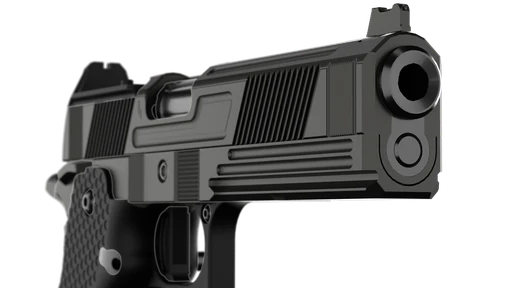 Muzzle