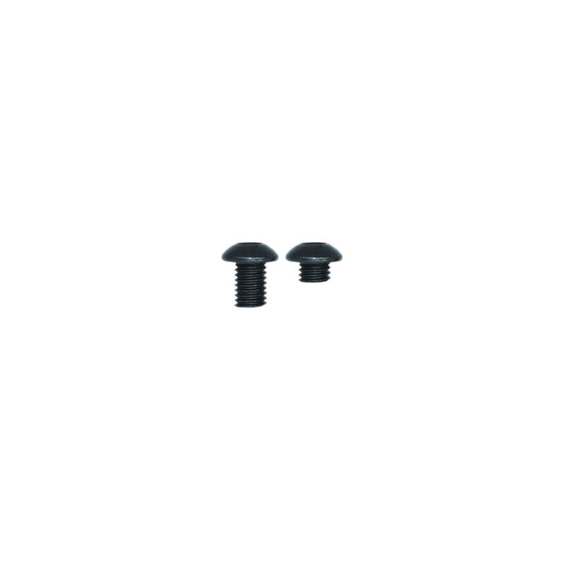 Cover Plate Screws (Glock)